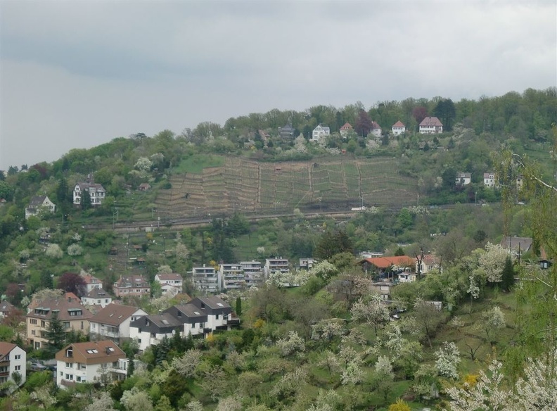 CIMG0342
