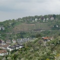 CIMG0342