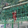 CIMG0546