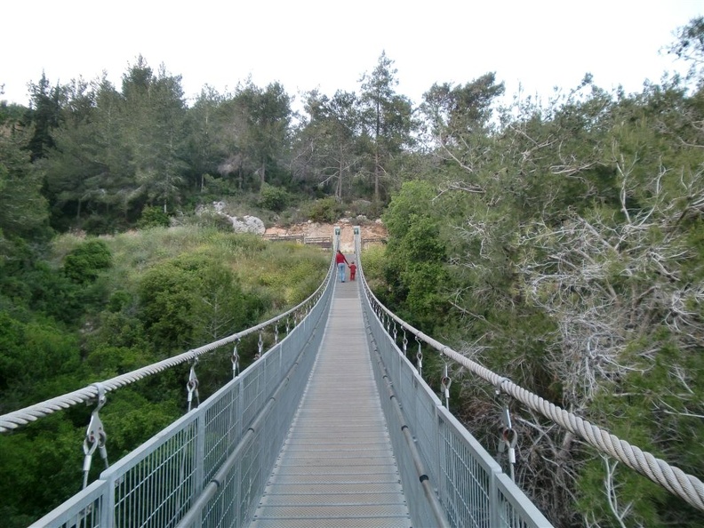 CIMG0597