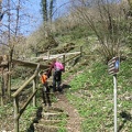 IMG_1381.JPG
