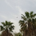 CIMG0725
