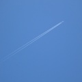 IMG_1457.JPG