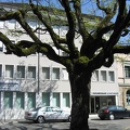 IMG_1458.JPG