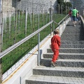 IMG_1472.JPG