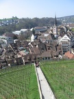IMG_1475.JPG