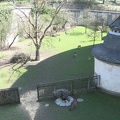IMG_1511.JPG