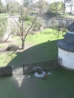 IMG_1511.JPG