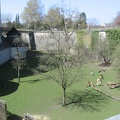 IMG_1513.JPG