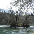 IMG_1540.JPG