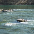 IMG_1541.JPG