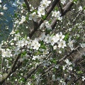IMG_1548.JPG