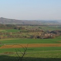 IMG_1550.JPG