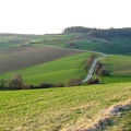 IMG_1575.JPG