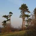 IMG_1578.JPG