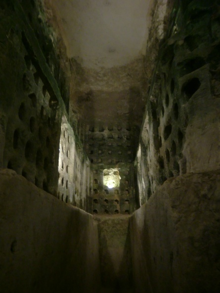 CIMG1445