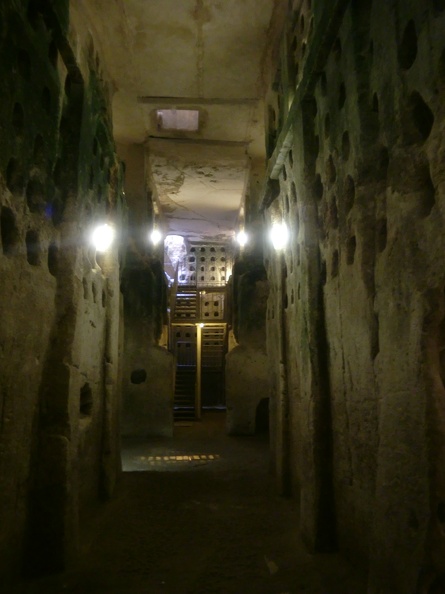 CIMG1448