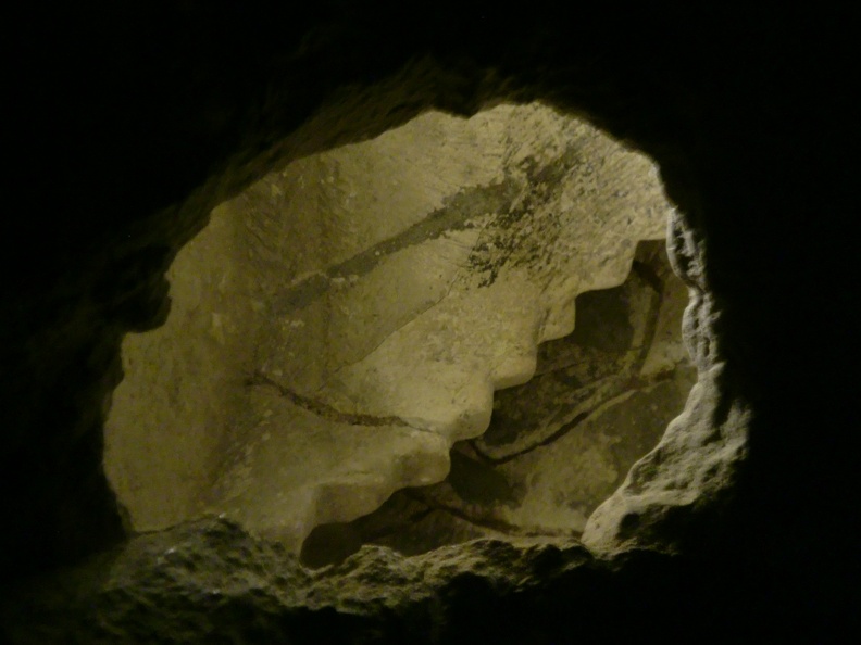 CIMG1509