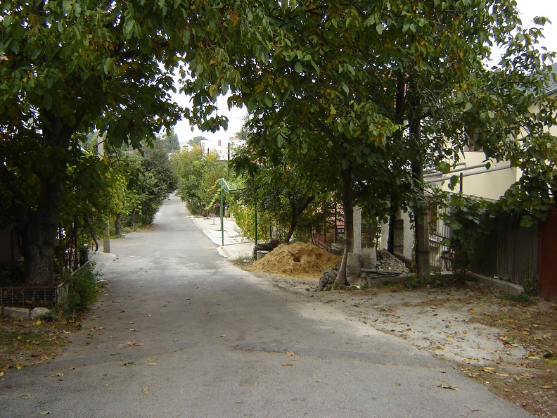 DSC03184