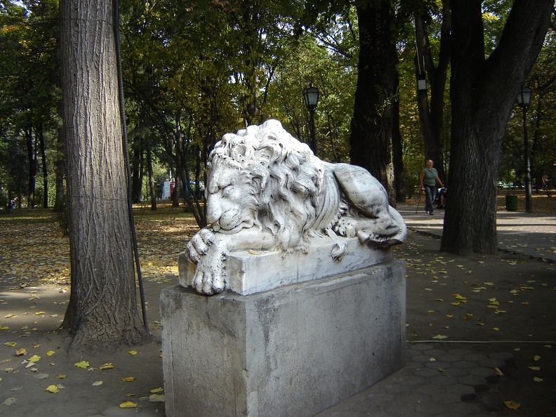 DSC03067