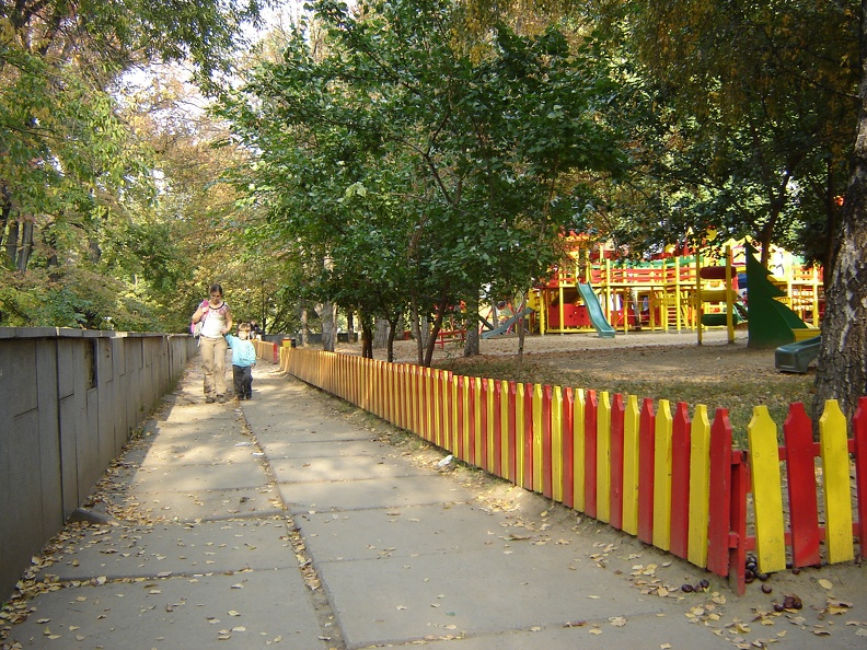 DSC03081
