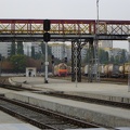 DSC03111