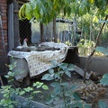 DSC02952.JPG