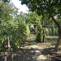 DSC02954.JPG