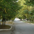 DSC03019.JPG