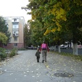 DSC03029.JPG