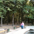 SPM_A0163.jpg