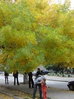 DSC02815.JPG