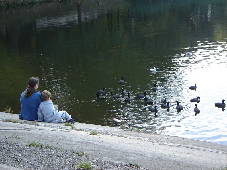 DSC02878.JPG