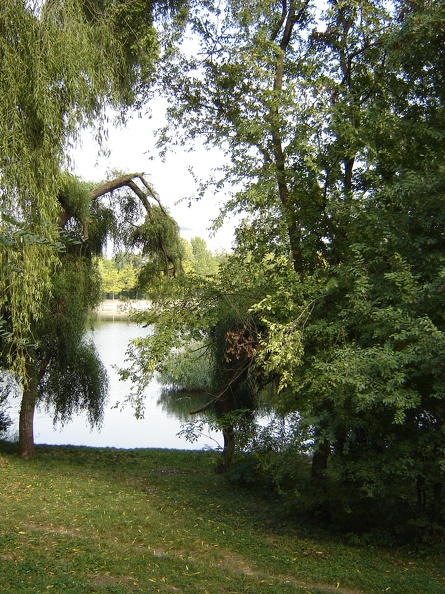 DSC02881.JPG