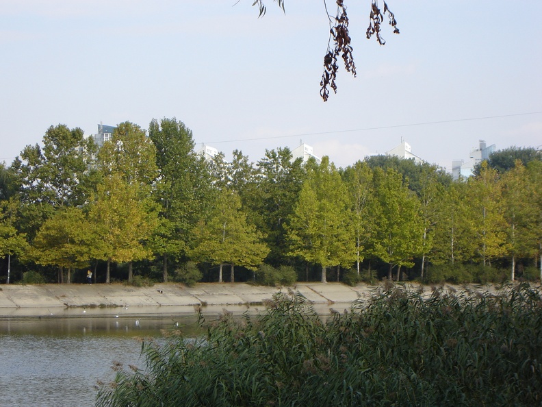 DSC02882.JPG