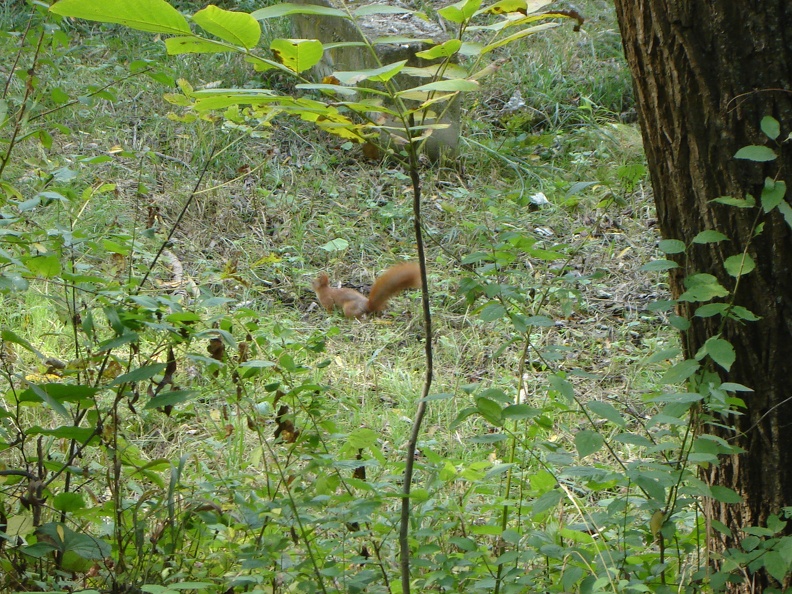 DSC02892.JPG