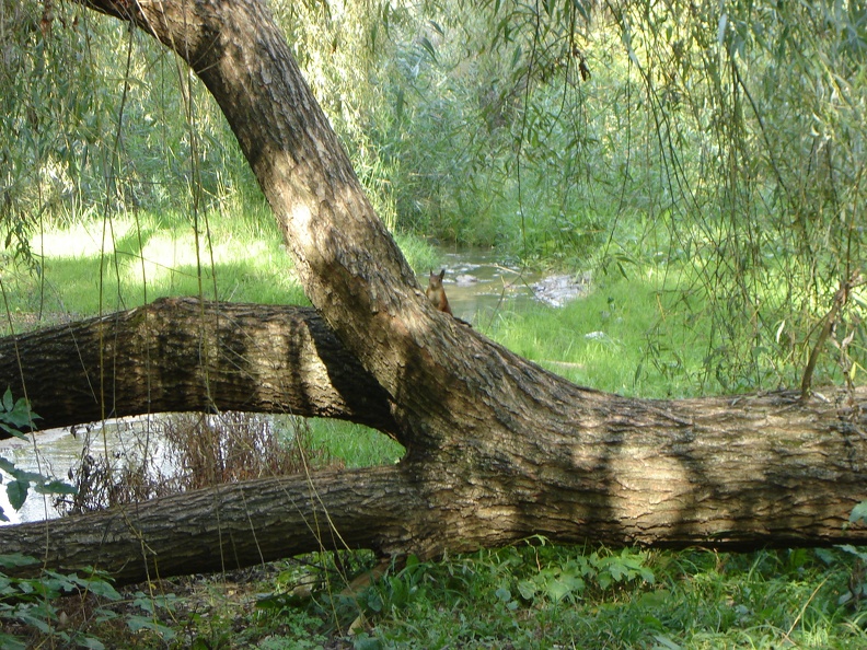 DSC02902.JPG