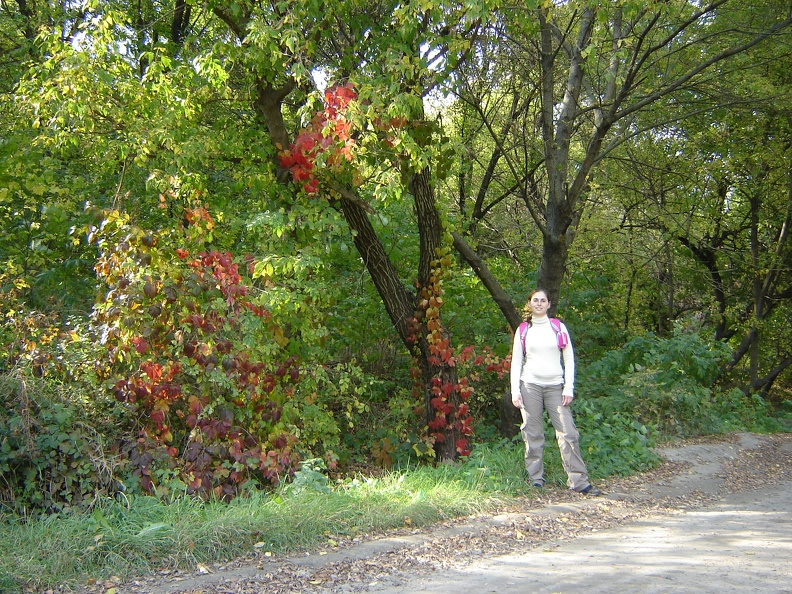 DSC02907.JPG