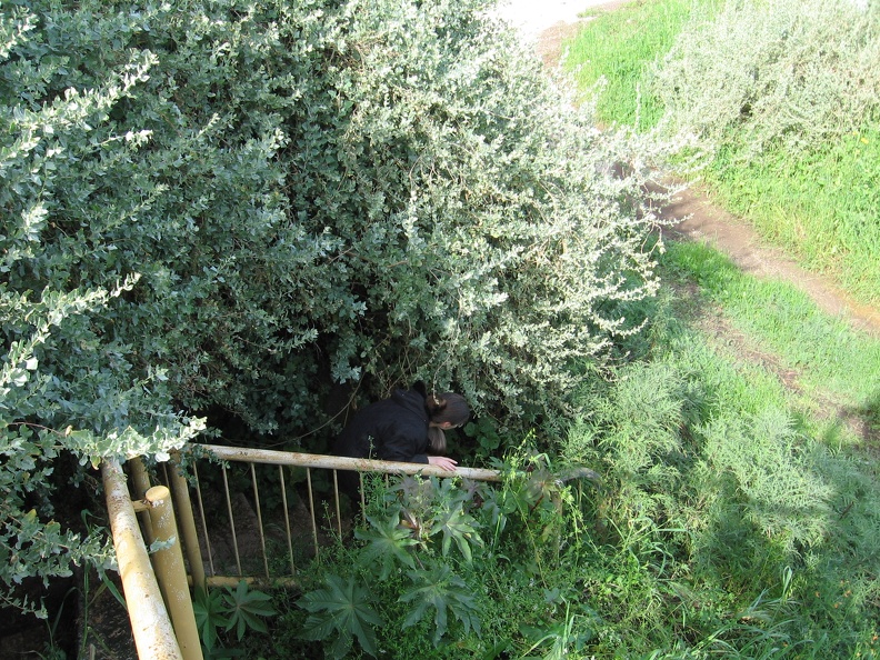 Alexander Stream 008