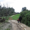 Alexander Stream 020