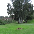Alexander Stream 021