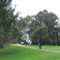 Alexander Stream 022