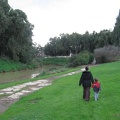 Alexander Stream 028