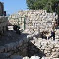 Yarkon Springs 015