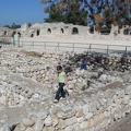 Yarkon Springs 017