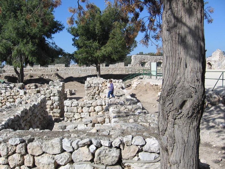 Yarkon Springs 018