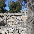 Yarkon Springs 018