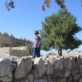 Yarkon Springs 019