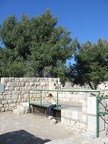 Yarkon Springs 021