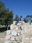 Yarkon Springs 023